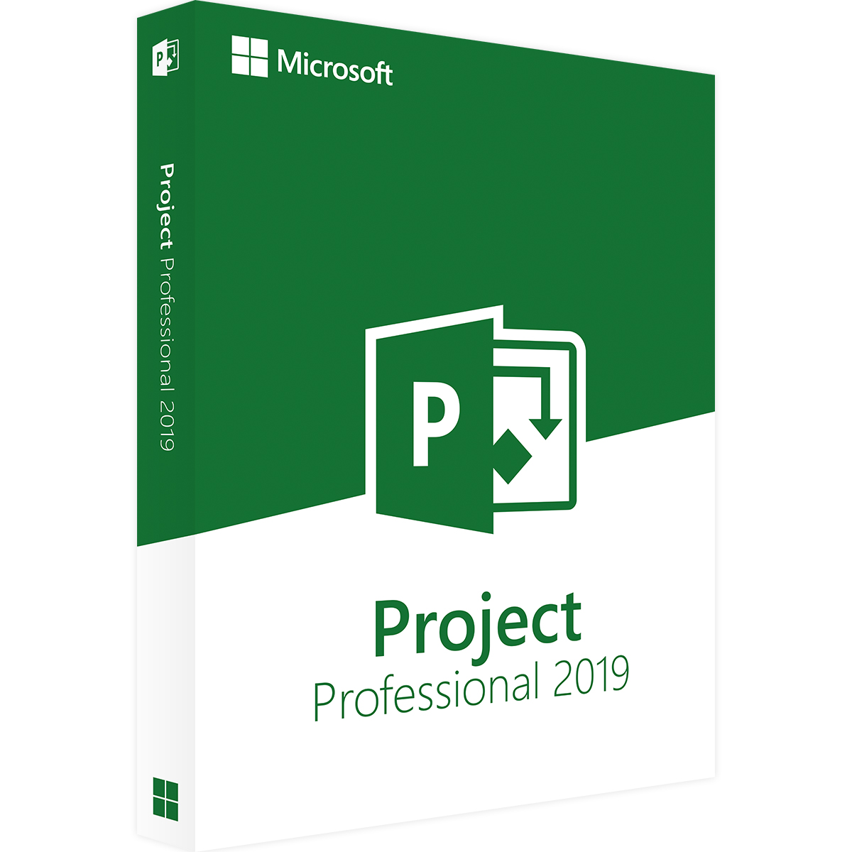 Project 2019 Professional kaufen