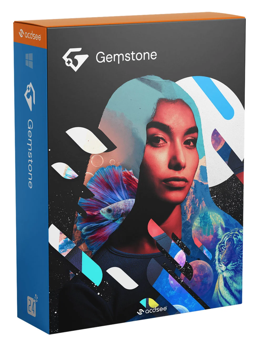 ACDSee Gemstone Photo Editor 12 - 1 Jahr Abonnement - 1 Benutzer
